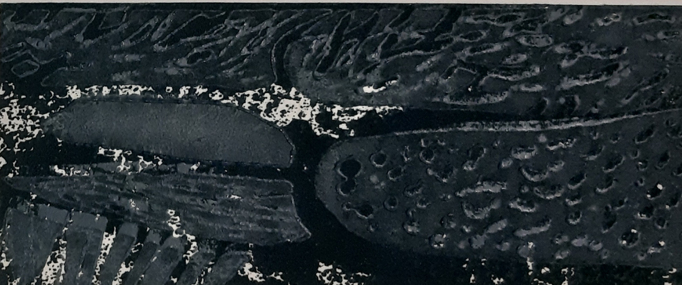 Detail onderwaterwereld